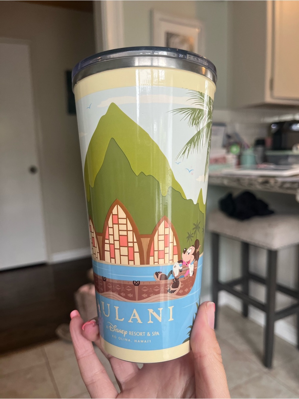 Aulani Disney Resort & Spa Stainless Steel Souvenir Tumbler - Hawaii
